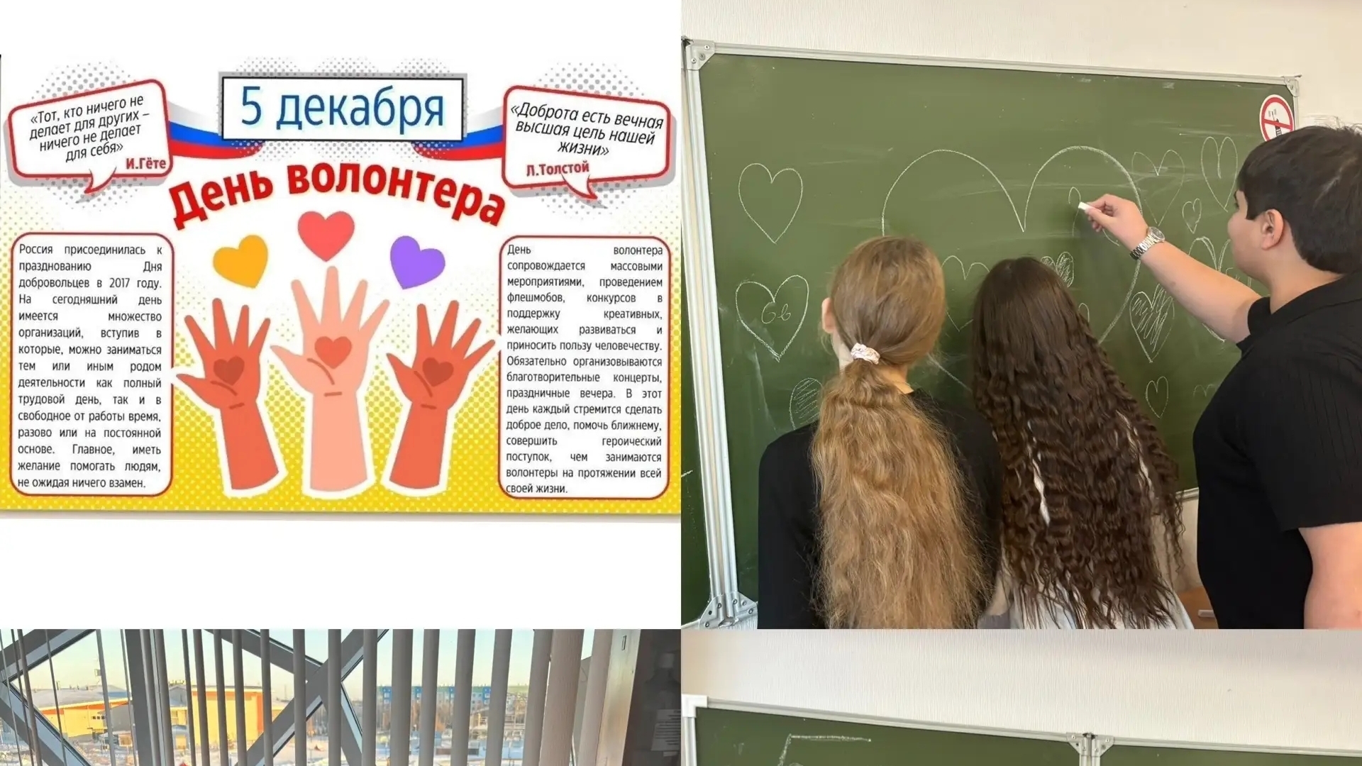Волонтёры в действии: Викторина-день
